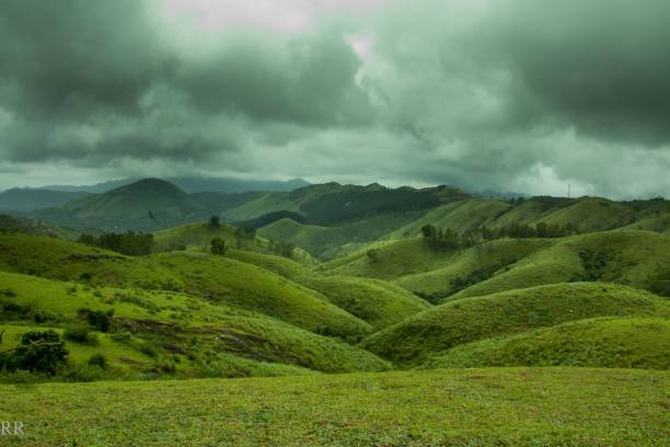 ooty munnar thekkady vagamon Tour from Coimbatore